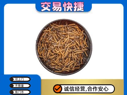 中卫高价回收散虫草